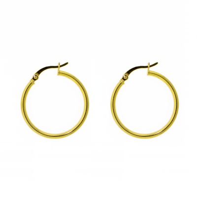 Hoop Earring 2mm - Gold