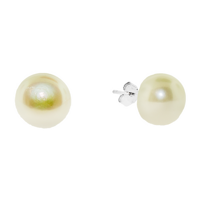 White Pearl - Stud Earrings